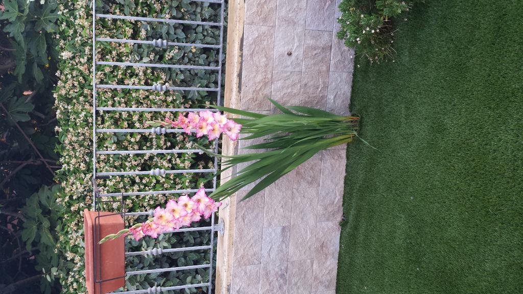 Vila Casa Con Giardino Olbia Exteriér fotografie